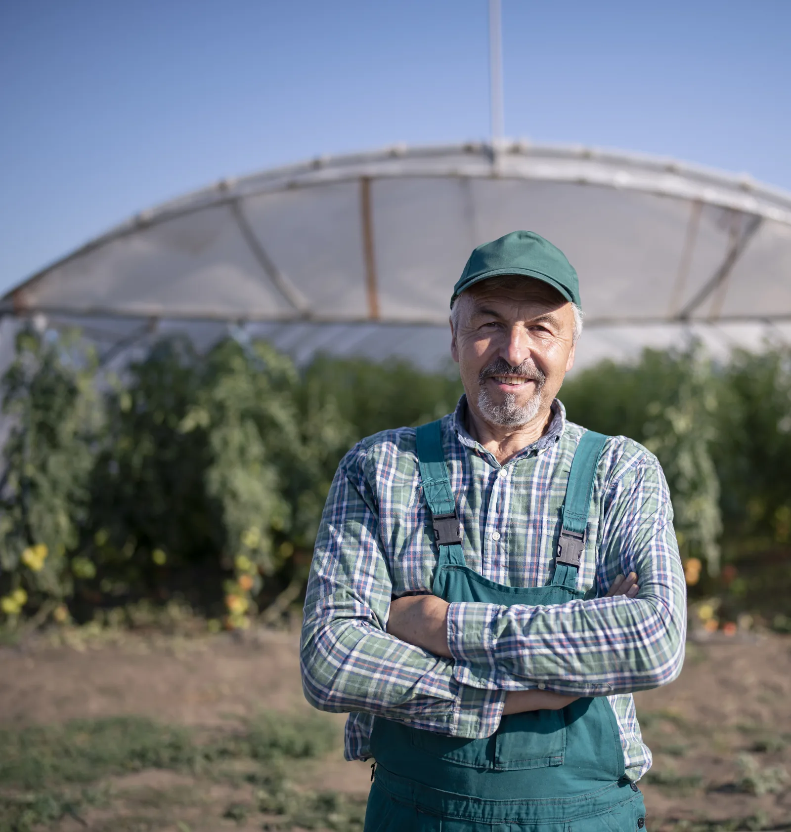 A farmer in overalls standing in front of a greenhouse tunnel on his farm